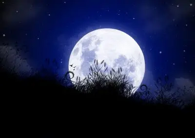 بی تو مهتاب شبی